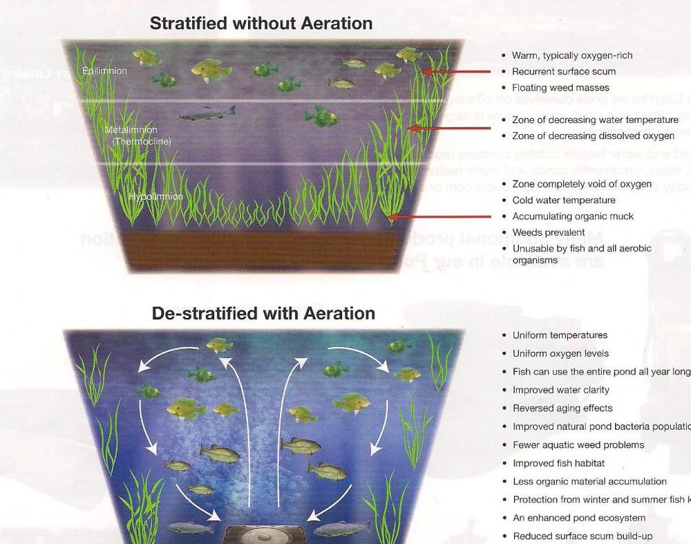 Pond Aeration What Is It Good For? Rocks 'n' Roots